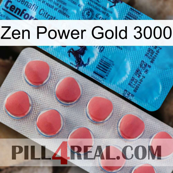 Zen Power Gold 3000 new14.jpg